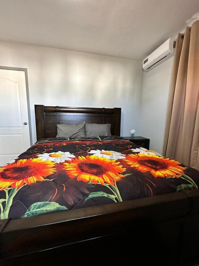ウィレムスタッド Casa Cieloヴィラ エクステリア 写真